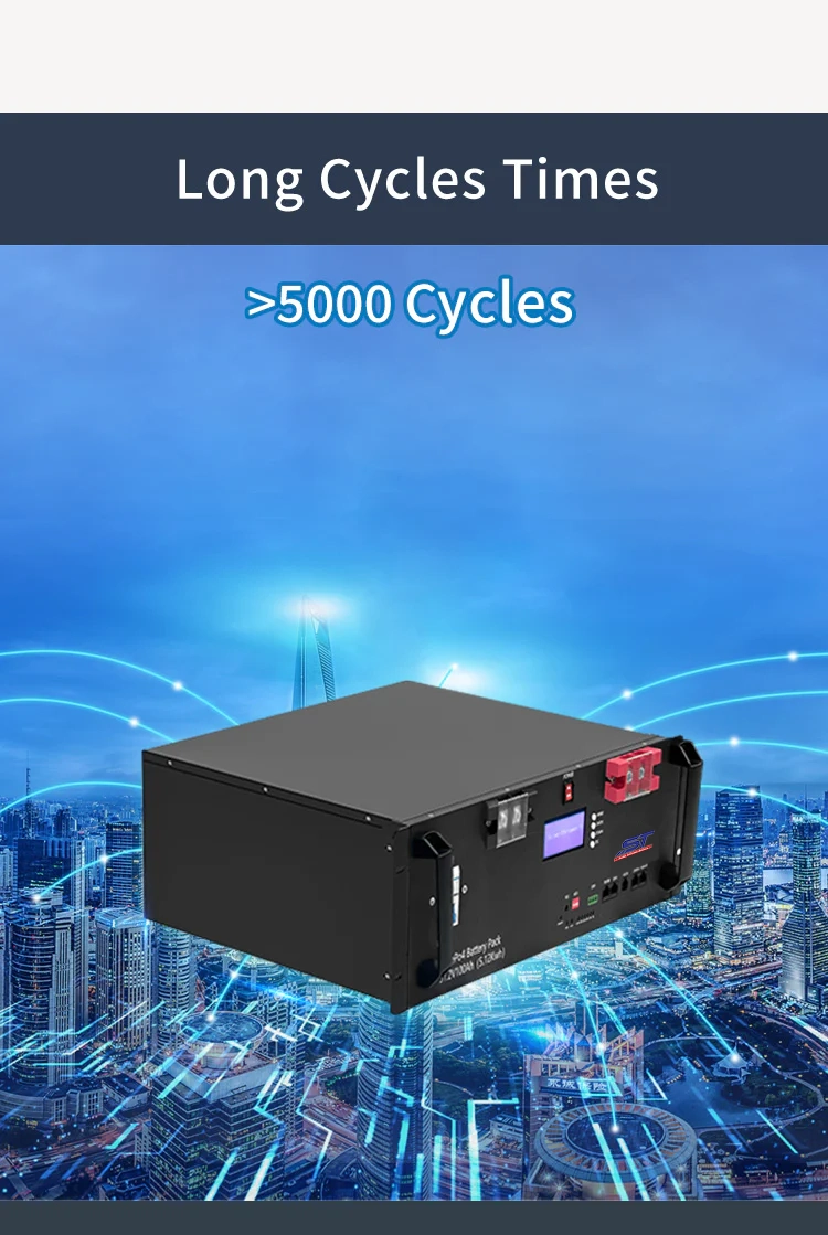 Rack Lithium Ion LiFePO4 Battery 51.2V 50Ah technical specification image 4