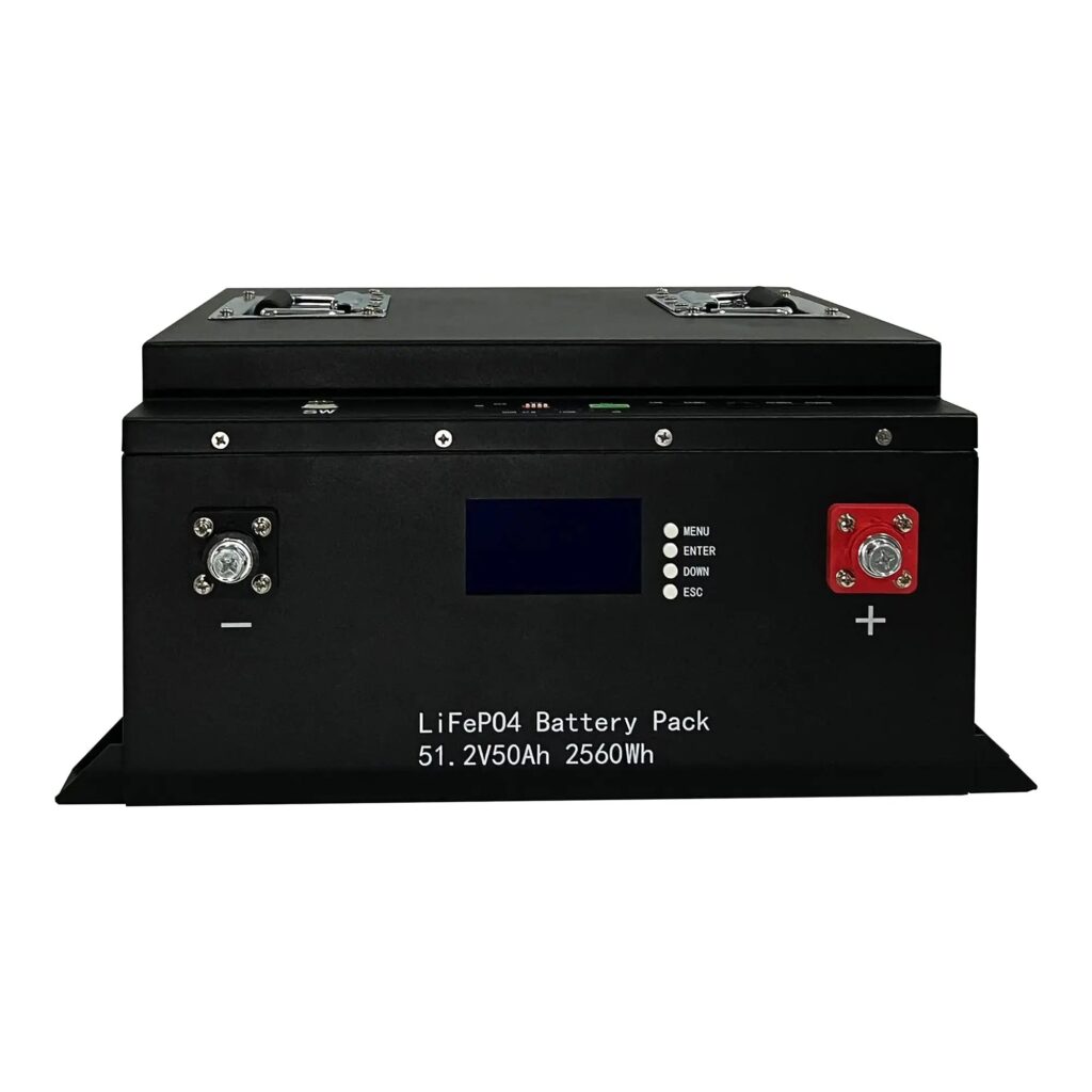 Rack Lithium Ion LiFePO4 Battery 51.2V 50Ah